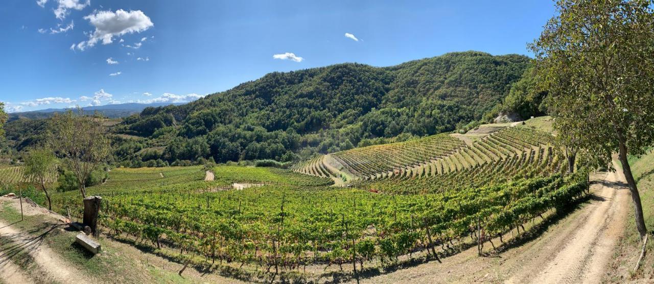 Cascina Bertolotto Wine Resort Spigno Monferrato Exterior foto