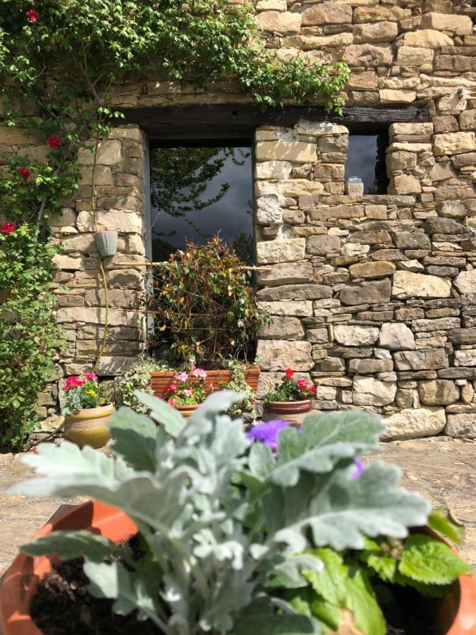 Cascina Bertolotto Wine Resort Spigno Monferrato Exterior foto