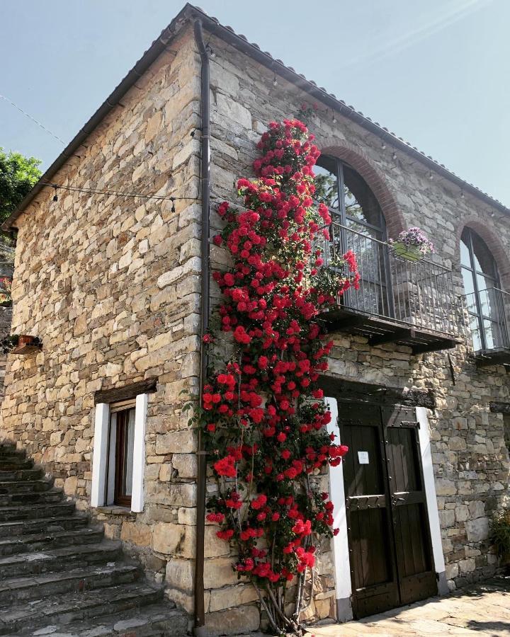 Cascina Bertolotto Wine Resort Spigno Monferrato Exterior foto